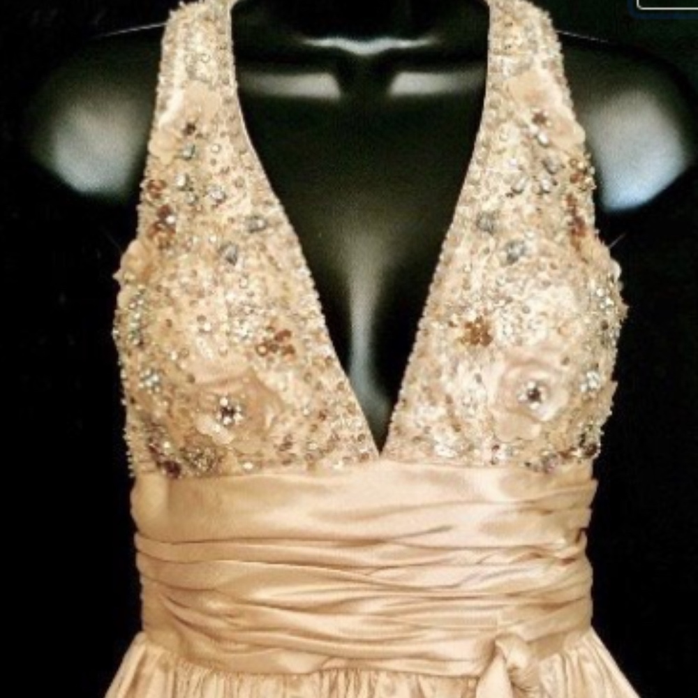 Taupe Halter Mermaid  Gown VS223